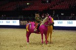 Quadrille - 00438